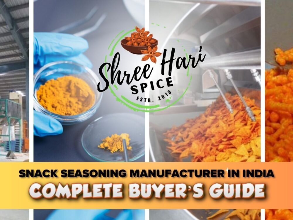 Snack Seasoning Manufacturer in India: Complete Buyer’s Guide
